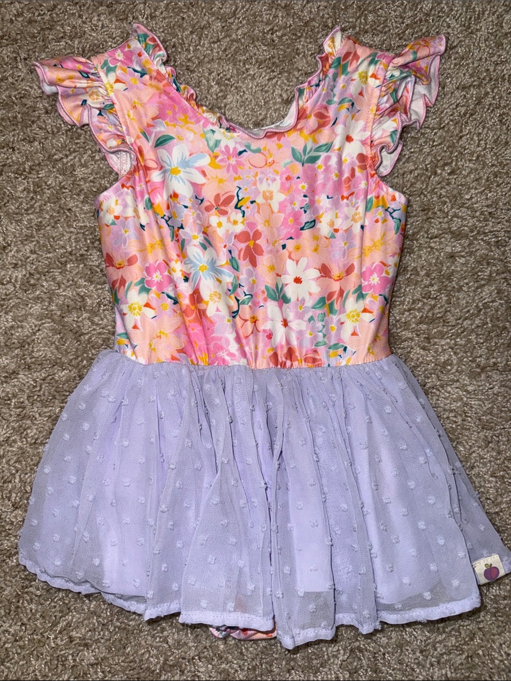Cheeky Plum Dance Leotard